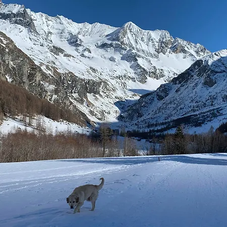 Arolla Bourg-Saint-Maurice